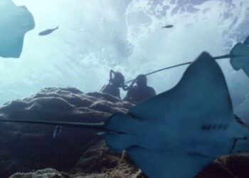 Making of L’Odyssée