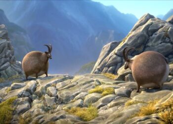 France 3 idents Rollin’ Wild