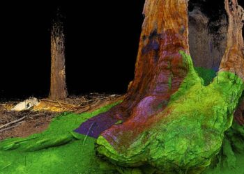 Atom Vu and Nu Design announced