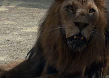 Dexter Studios’ hair and fur reel