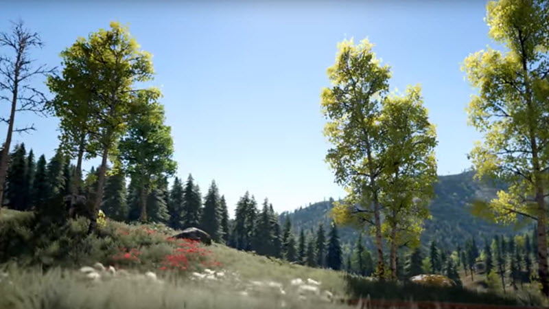 Procedural Landscape Ecosystem for UE4