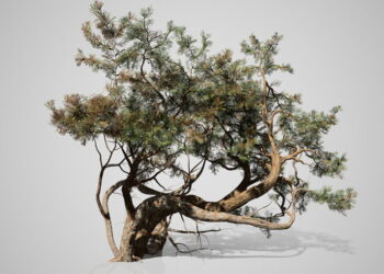 SpeedTree Cinema 8 released bringing new PBR workflows