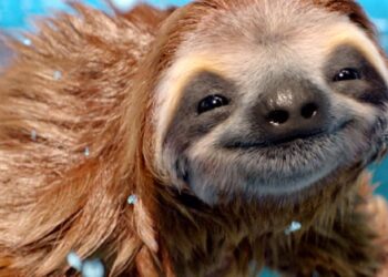 The Mill’s 2017 animal and creature reel