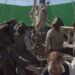 Goodbye Kansas Studio’s Outlander Season 3 VFX breakdown
