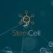 Turbosquid rolls out StemCell format conversion