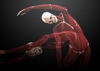 Ziva VFX 1.2 released