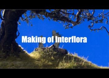 Hydralab’s Interflora spot behind the scenes