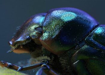 Vlado hints at a Chaos Group real-time renderer