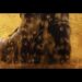 Boots on the Ground