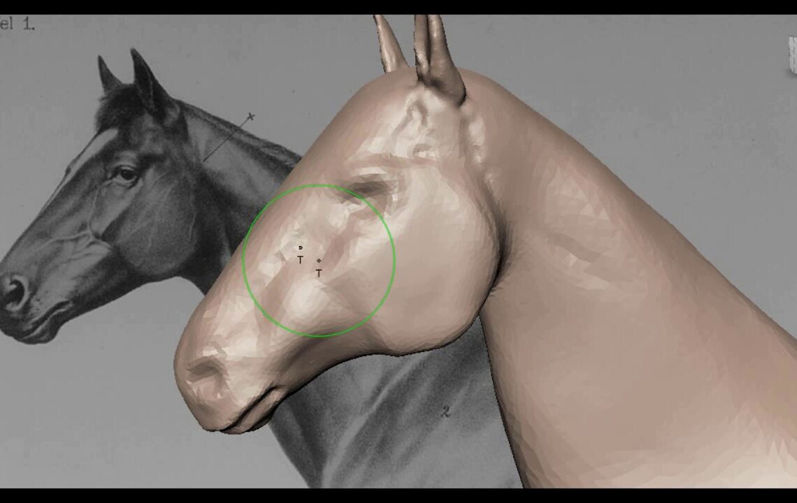 Mudbox 2018.2 released with dynamic tessellation and new sculpt tools