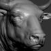 Platige Image’s Żubr bison breakdown