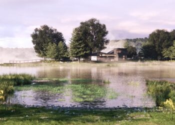 Creating altitude-based ecosystems