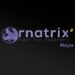 Ornatrix for Maya 2.0 released