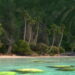 Disney release a complete island scene from Moana for “research, software development or education”