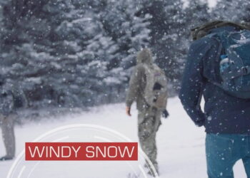 ActionVFX release weather stock