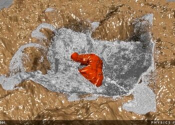 Physics Forests – real-time fluid simulation demo