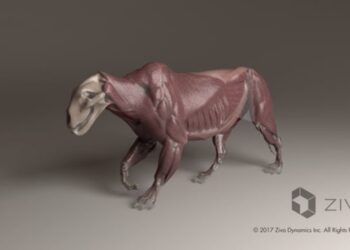 Ziva VFX 1.4 released