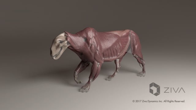 Ziva VFX 1.4 released
