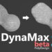 Dynamax Plugin beta