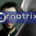 Ornatrix for Cinema 4D out now