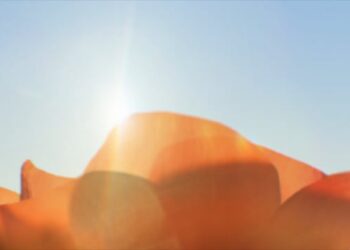 Short film RVB commemorates those who died in WW1