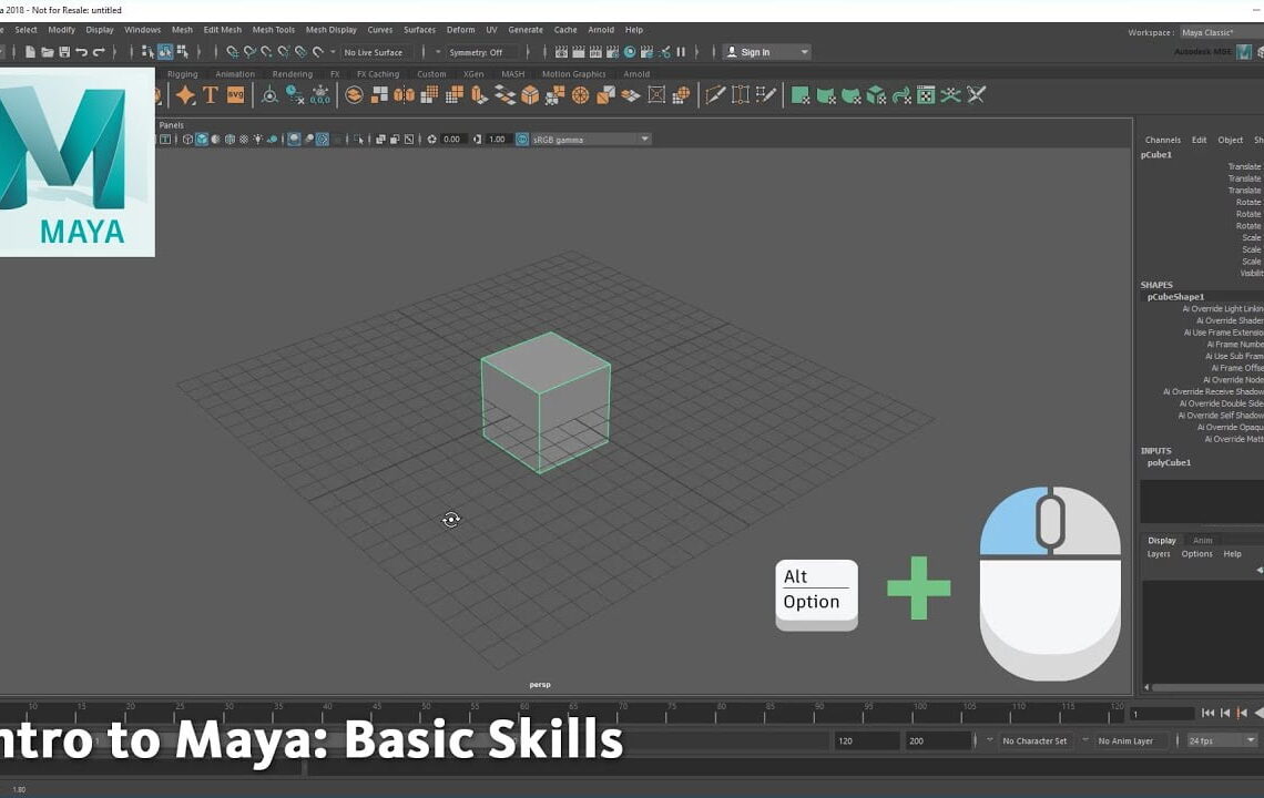 Getting started with Maya