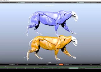 Ziva VFX 1.5 released