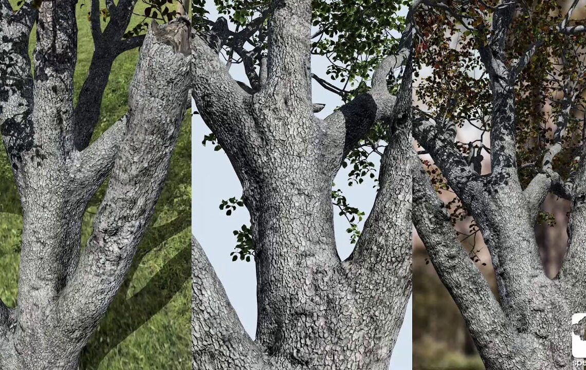 Speetree 8.2 brings new photogrammetry tools