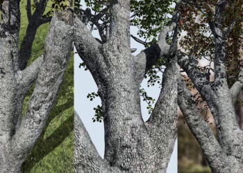 Speetree 8.2 brings new photogrammetry tools