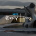 V-Ray Next for Rhino released