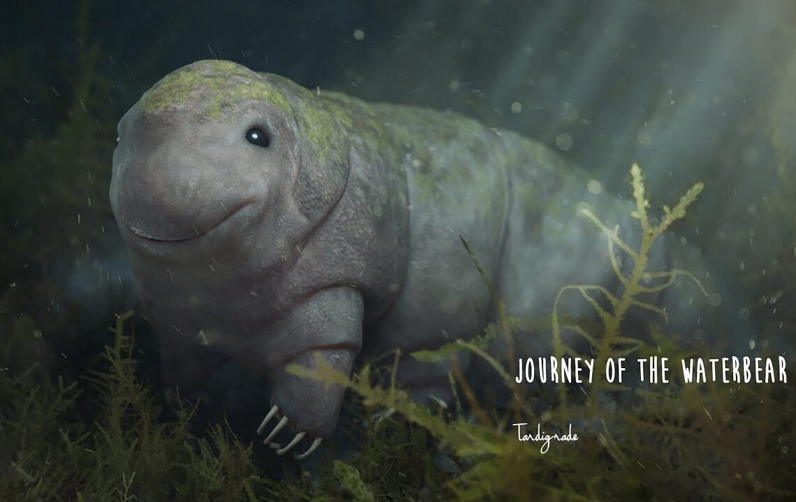 The Journey of the Waterbear trailer