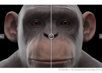 Rémi Bèges on a new tool that add micro details to CG models
