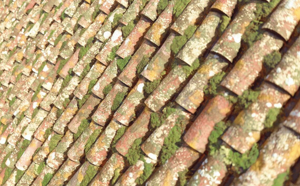 Mixer 2019.2 released