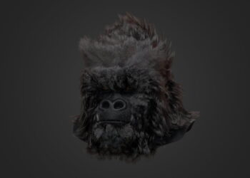 GroomBear for Houdini