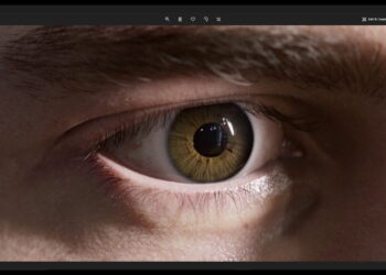 Iris assets