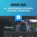Megascans Bridge 2020 released