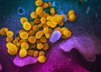 GDC and Unreal Fest cancelled due to Corona virus concerns