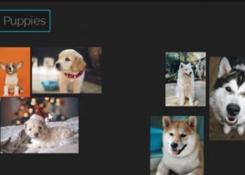 PureRef 1.10 released