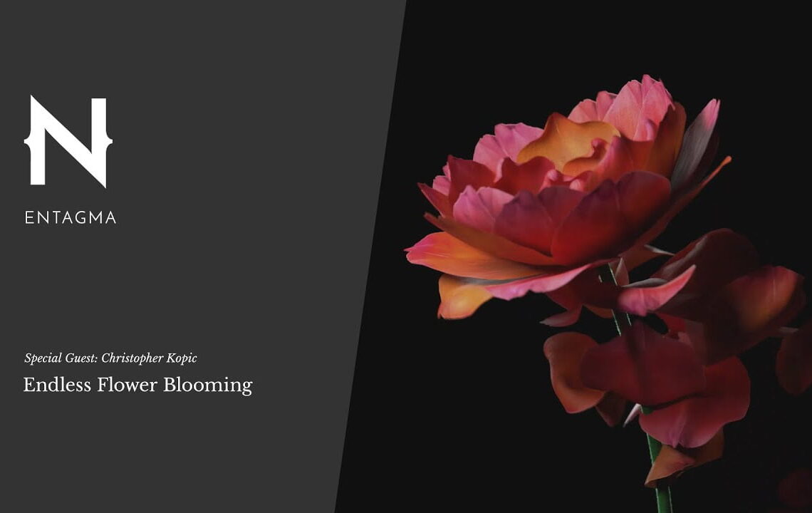 Endless Flower Blossoming