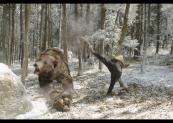 Dexter Studios’ Arthdal Chronicles breakdown