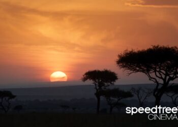 SpeedTree 2020 VFX Reel