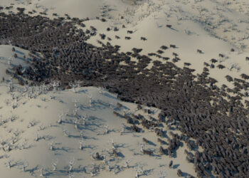 Maya 2020.4 released with new scattering and instancing tools