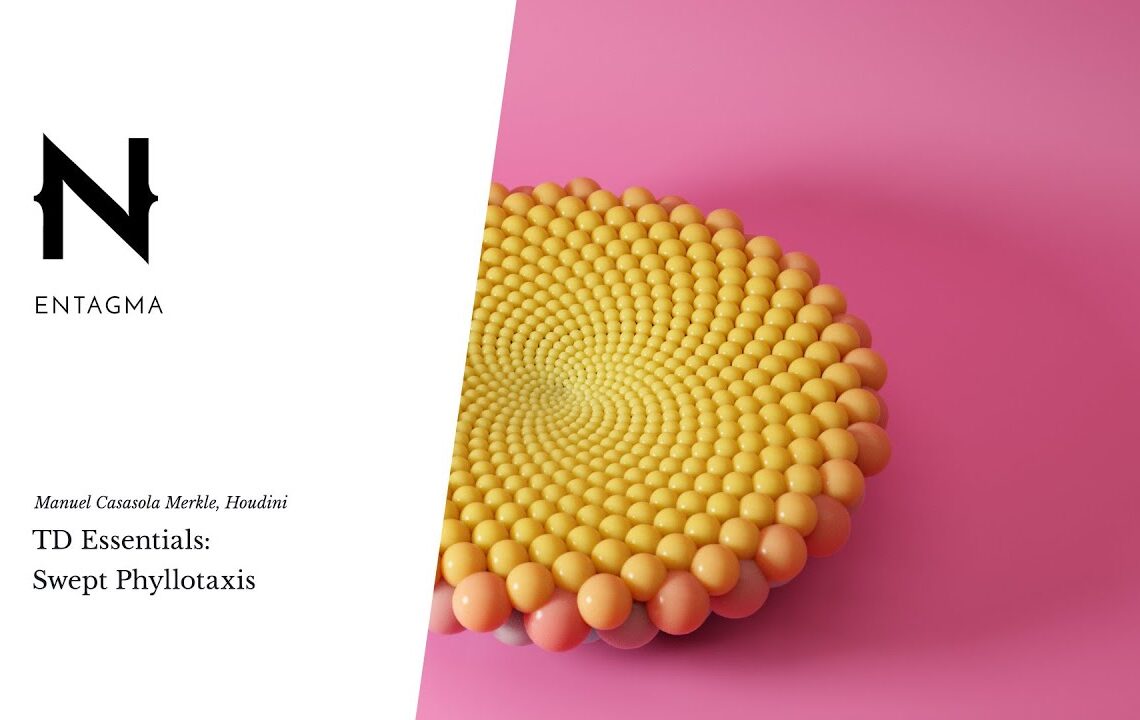 Create a Swept Phyllotaxis Operator in Houdini