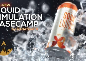 Phoenix Basecamp training