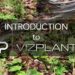 Vizplants launched