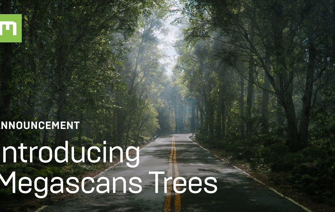 Megascans Trees available in early access