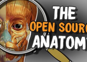 Z Anatomy open source anatomy models and app