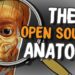 Z Anatomy open source anatomy models and app