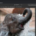 Web-based Photoshop to be released for free