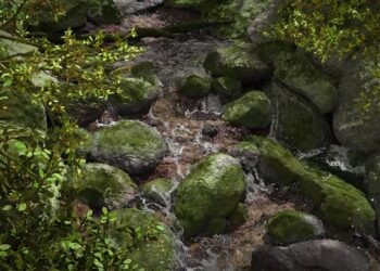 AqMesher2.8 released with a new liquid solver